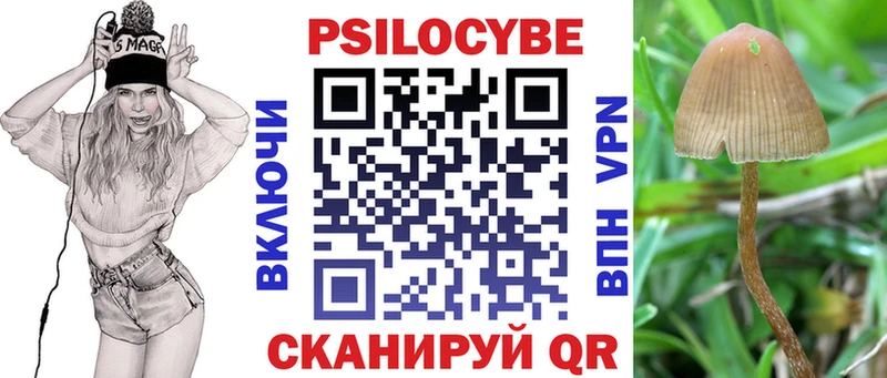 купить наркоту  Кропоткин  Галлюциногенные грибы мицелий 